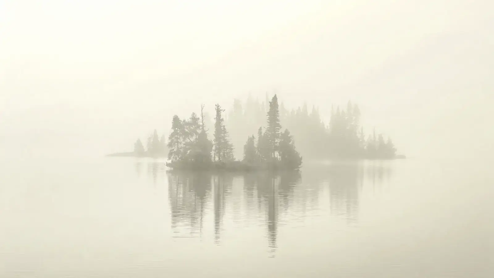 Misty atmospheric forest lake landscape
